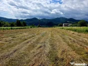Teren 680mp Viisoara / Strada Primaverii