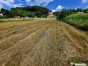 Teren 680mp Viisoara / Strada Primaverii