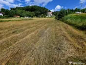 Teren 680mp Viisoara / Strada Primaverii 