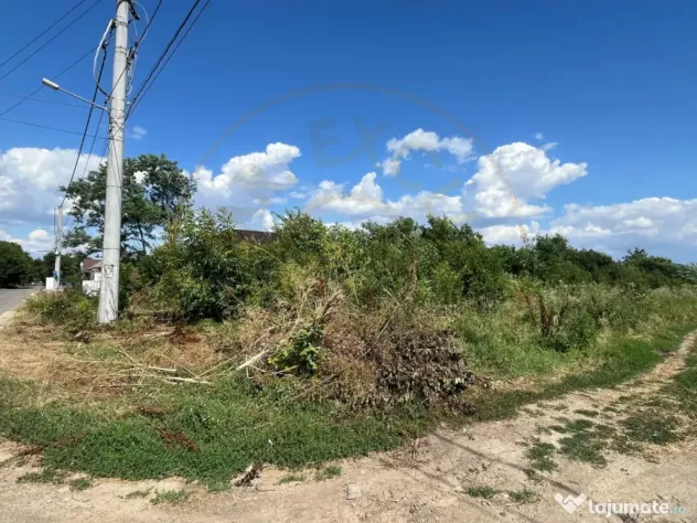 Teren Ogrezeni, stradal, cu utilitati