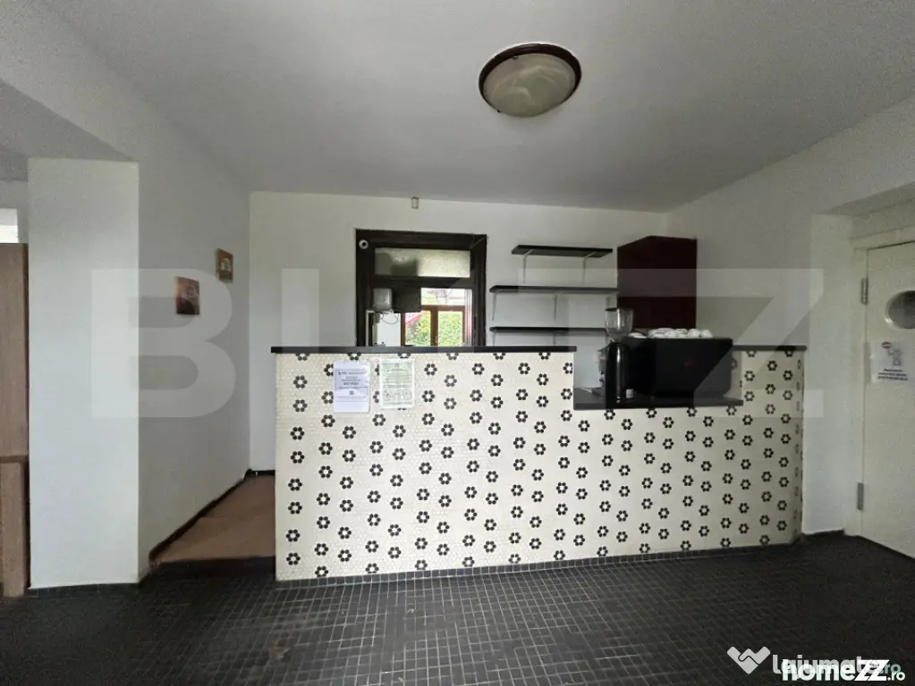 Spatiu Comercial de Inchiriat / Salva - cu terasa si curte i