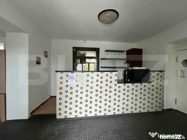 Spatiu Comercial de Inchiriat / Salva - cu terasa si curte i