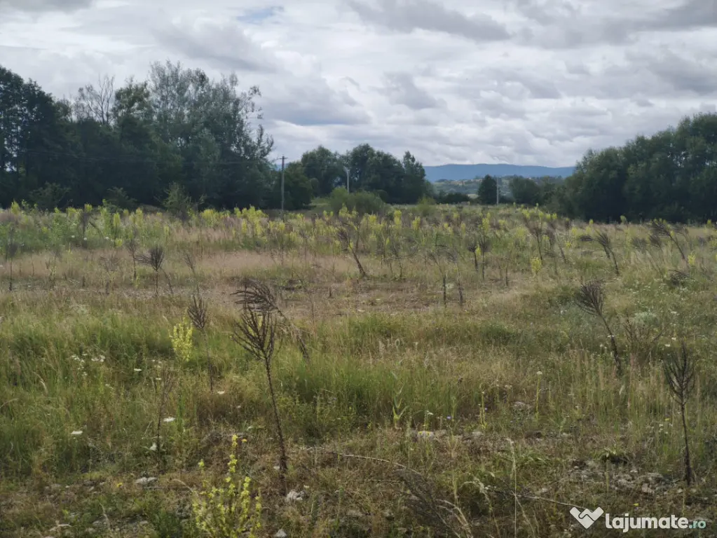 Teren intravilan 4594mp, deschidere 66ml, Galanesti, Radauti