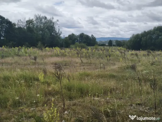 Teren intravilan 4594mp, deschidere 66ml, Galanesti, Radauti