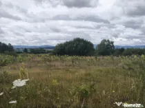 Teren intravilan 4594 mp, deschidere 66 ml, Galanesti, Radau