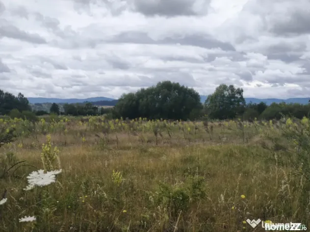 Teren intravilan 4594 mp, deschidere 66 ml, Galanesti, Radau - Galanesti (Suceava)
