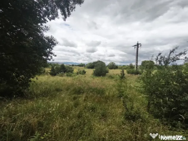 Teren intravilan 4594 mp, deschidere 66 ml, Galanesti, Radau - Galanesti (Suceava)
