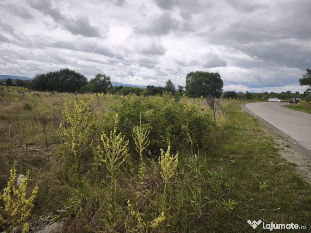 Teren intravilan 4594mp, deschidere 66ml, Galanesti, Radauti