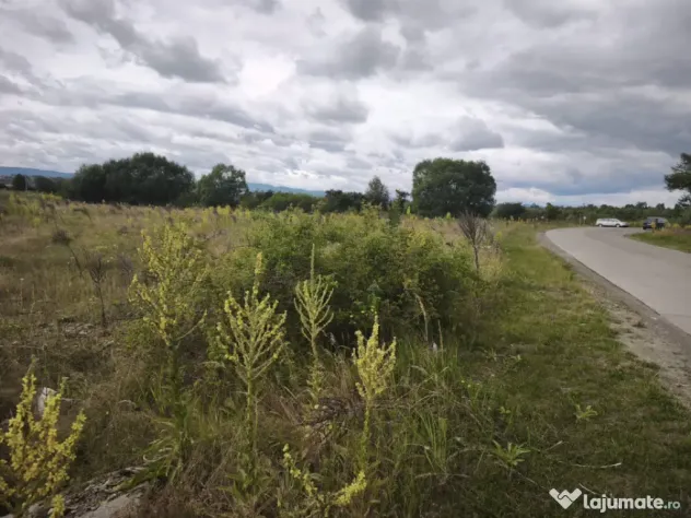 Teren intravilan 4594mp, deschidere 66ml, Galanesti, Radauti