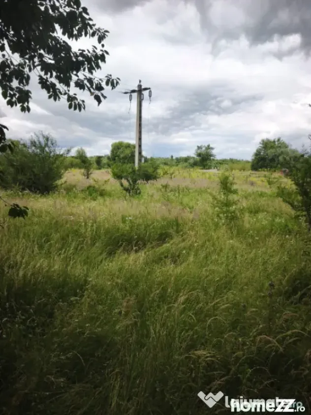 Teren intravilan 4594 mp, deschidere 66 ml, Galanesti, Radau - Galanesti (Suceava)