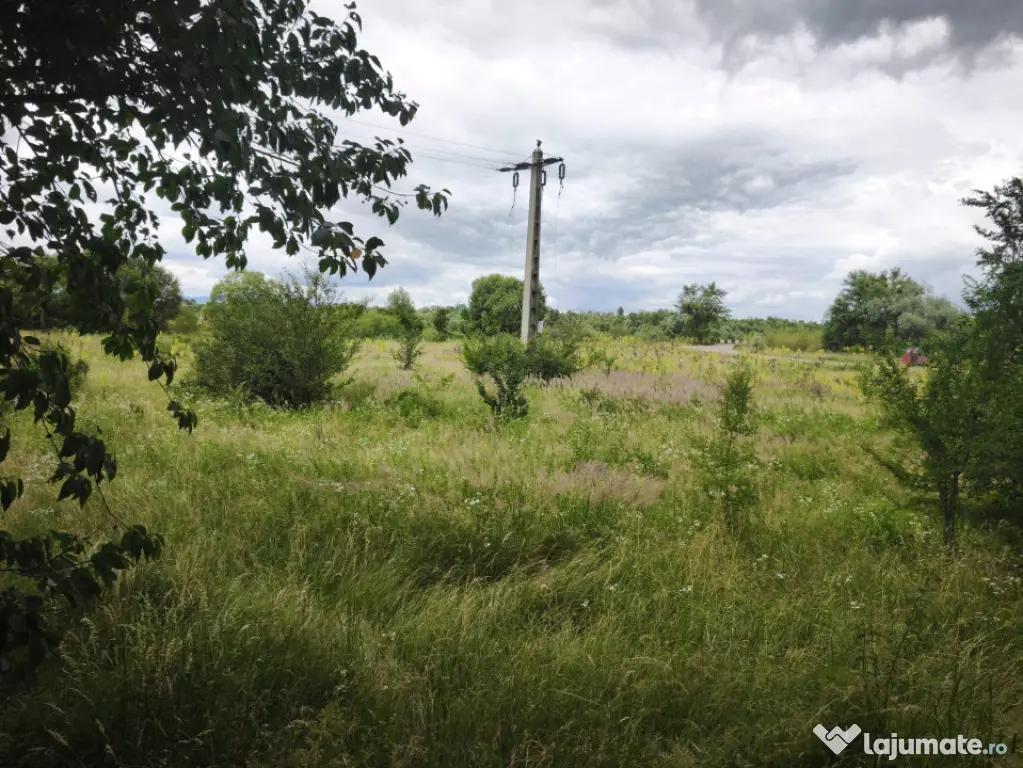 Teren intravilan 4594mp, deschidere 66ml, Galanesti, Radauti