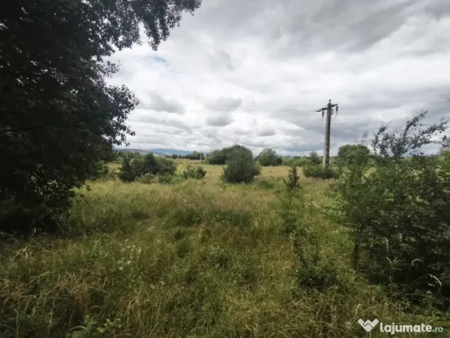 Teren intravilan 4594mp, deschidere 66ml, Galanesti, Radauti