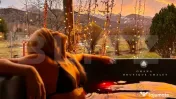 Pensiune Boutique Premiată, la Cheie – Vistișoara, lâng 