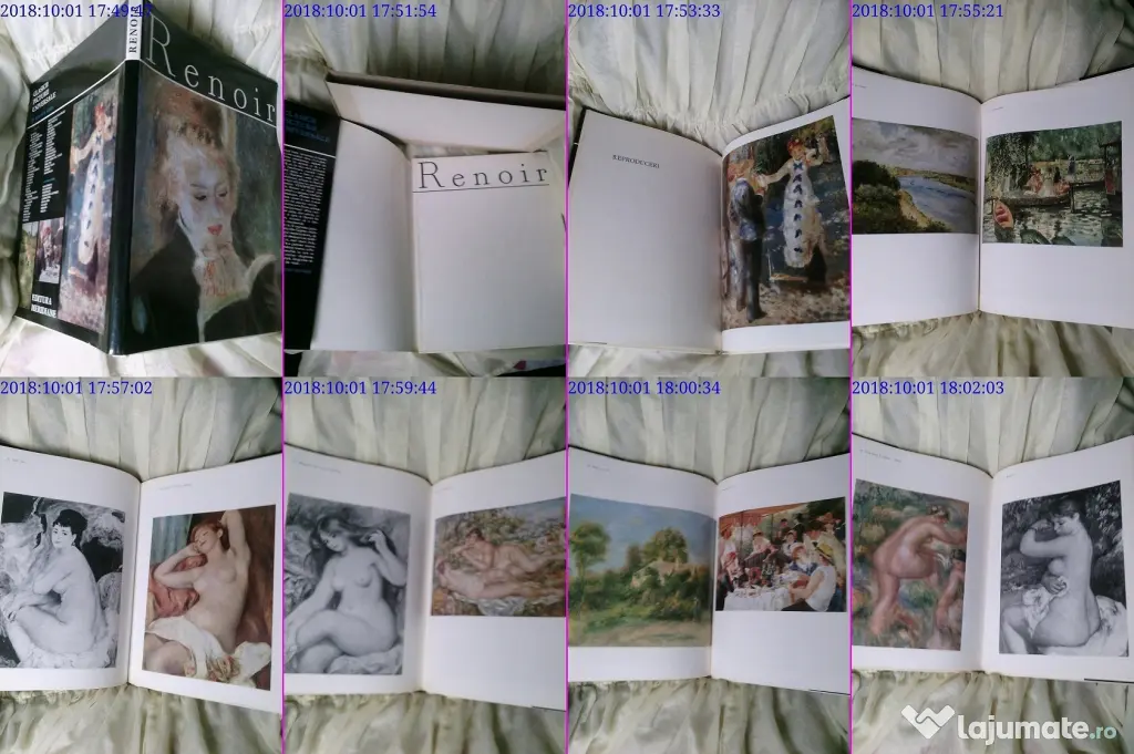 Renoir album de arta rar