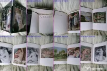 Renoir album de arta rar