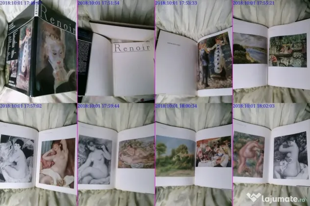 Renoir album de arta rar