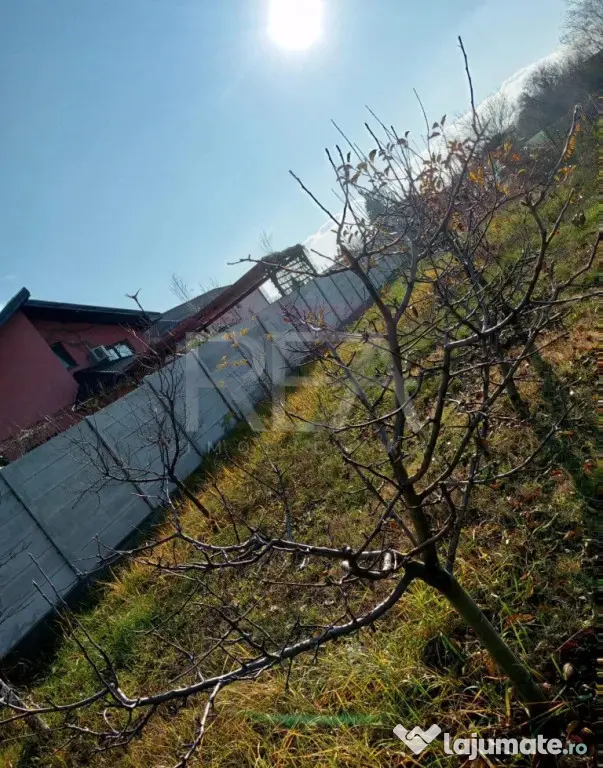 Teren imprejmuit Intravilan 1200 mp, Cornetu, Ilfov
