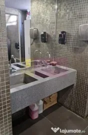 Închiriere spațiu comercial stradal blv Decebal 