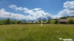 8.544 mp în Poiana Mărului | Teren cu potențial, la doar