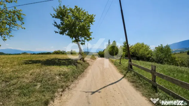 8.544 mp în Poiana Mărului | Teren cu potențial, la doar
