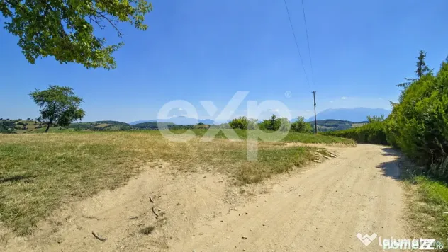 8.544 mp în Poiana Mărului | Teren cu potențial, la doar