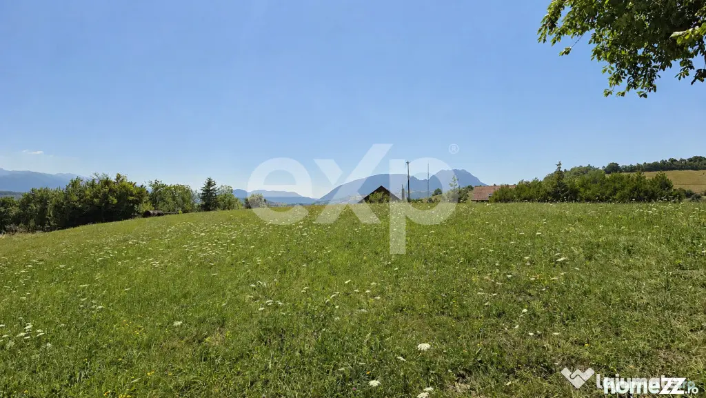 8.544 mp în Poiana Mărului | Teren cu potențial, la doar