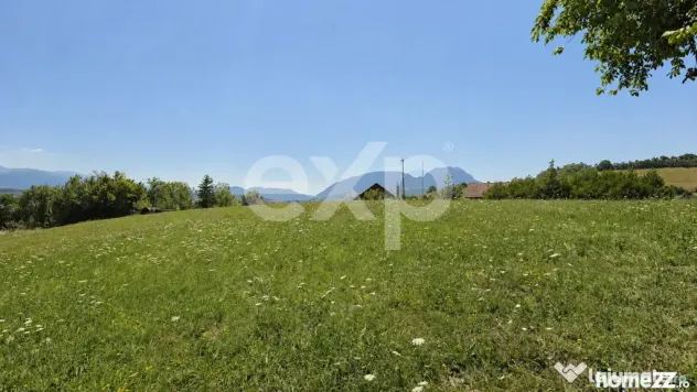 8.544 mp în Poiana Mărului | Teren cu potențial, la doar