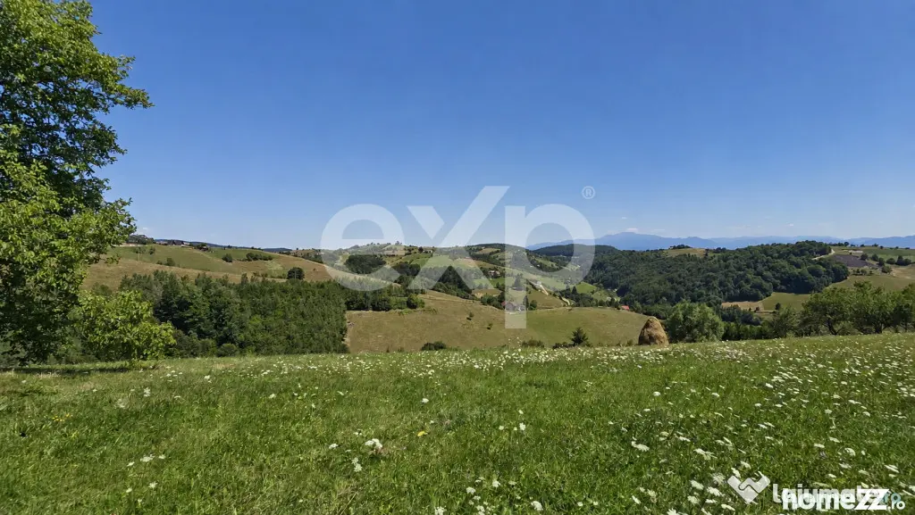 8.544 mp în Poiana Mărului | Teren cu potențial, la doar
