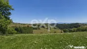 8.544 mp în Poiana Mărului | Teren cu potențial, la doar 