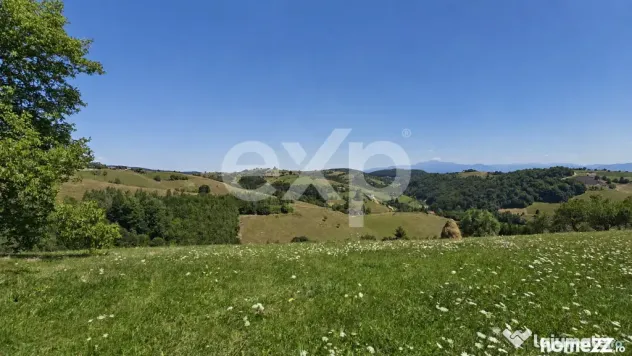 8.544 mp în Poiana Mărului | Teren cu potențial, la doar