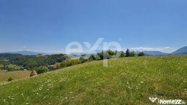 8.544 mp în Poiana Mărului | Teren cu potențial, la doar