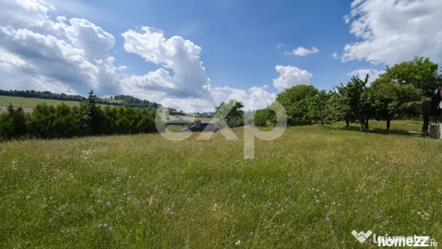 8.544 mp în Poiana Mărului | Teren cu potențial, la doar