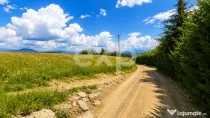 8.544 mp în Poiana Mărului | Teren cu potențial, la doar