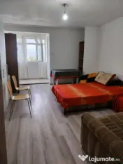 Garsoniera de vanzare, 30 mp, zona Brazda lui Novac 
