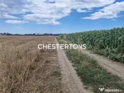 Teren extavilan 4000 m.p. , localitatea Corbu , posibilitate 