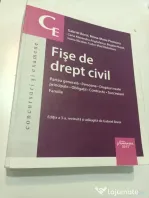 Fișe de drept civil - Gabriel Boroi