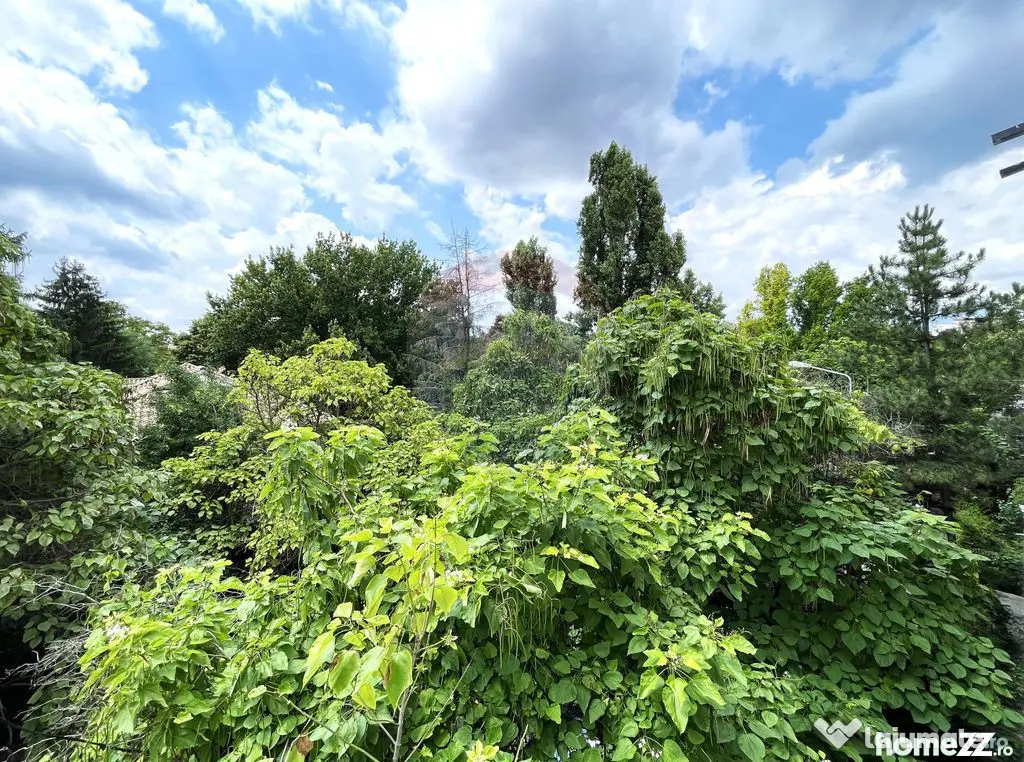Nordului - Aron Cotrus, 4 camere, vedere Satul Francez - Bucuresti (Bucuresti-Ilfov)