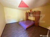 Casă cu teren generos de 2.674 mp–Lângă Geoagiu Băi 