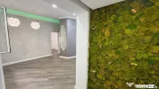 Casă 3 camere, Pache Protopopescu