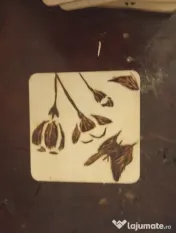 Mandale din Foc: Suporturi rotunde pentru căni, pirogravate manual
