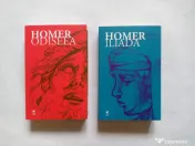 Homer - Iliada & Odiseea 2 cărți