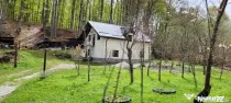 Cabana 4 camere zona Valea Avrigului