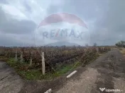 Teren intravilan Carligele / Strada Tulceanu 