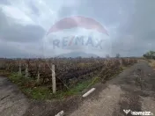 Teren intravilan Carligele / Strada Tulceanu