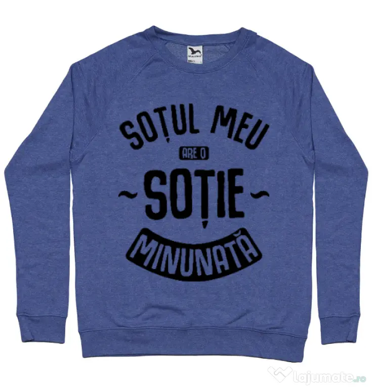 Bluza ADLER barbat O sotie minunata Albastru melanj