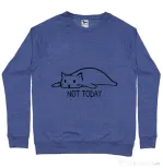 Bluza ADLER barbat Not today Albastru melanj