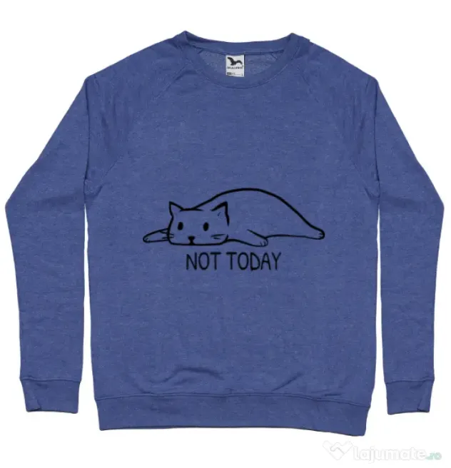 Bluza ADLER barbat Not today Albastru melanj
