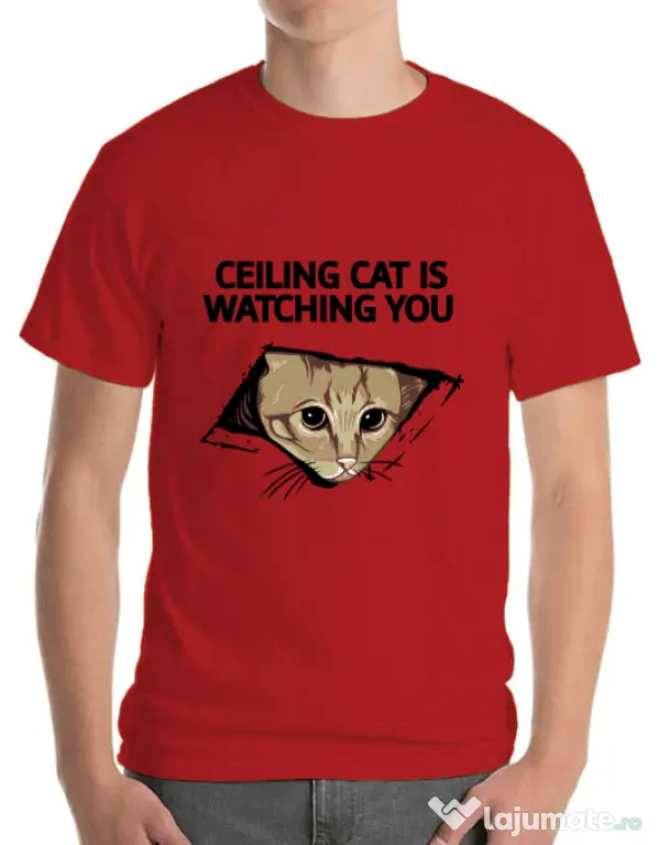 Tricou ADLER barbat Ceiling cat Rosu