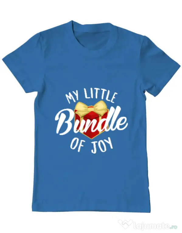 Tricou ADLER barbat Bundle of joy Albastru azuriu