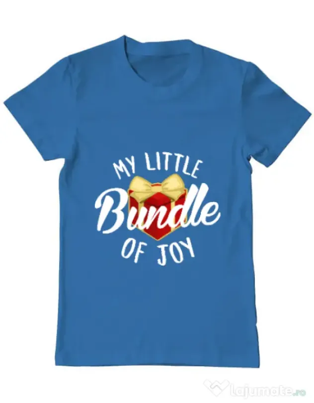 Tricou ADLER barbat Bundle of joy Albastru azuriu